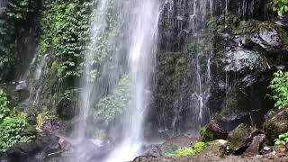 NATURE River Sound for Sleep Waterfall Study Relax sound Natural White Noise Relaxing Water Sounds [upl. by Rellek]