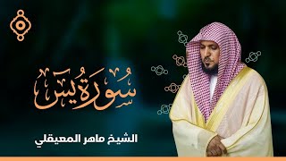 Surat Yasin Maher Al Muaiqly  سورة يس  الشيخ ماهر المعيقلي [upl. by Gowrie]