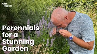 EasytoGrow Perennials for a Stunning Garden [upl. by Wolliw294]