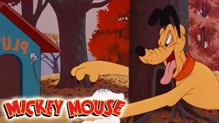 Micky Maus Kicherkracher  Kurzfilm Kampf um jede Nuss  Disney Channel [upl. by Viviane299]