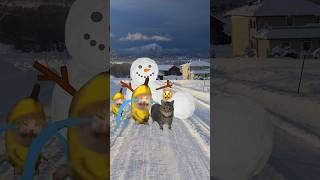 Banana cat and oiiaoiia play in the snow field 🐱🍌 bananacat happycat [upl. by Lidaa]