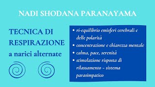 equilibrio emisferi rilassamento concentrazione e chiarezza mentale  nadi shodana pranayama [upl. by Enecnarf757]