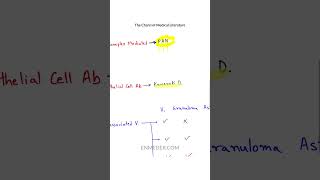 Vasculitis Classification tcml [upl. by Auoz]