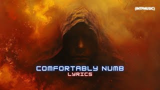 Pink Floyd  Comfortably Numb Lyrics [upl. by Juana236]