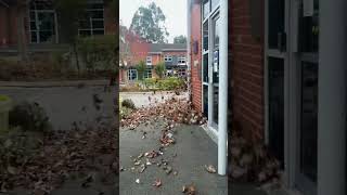 Leaf blowing commercial property and car parks in Liverpool commercial property grounds maintenance [upl. by Aicenaj702]