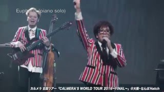 【カルメラ】CALMERA’S WORLD TOUR 2016FINAL「Euphoria」piano [upl. by Sikata]