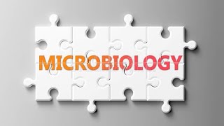 EnterococcusMicrobiologyPathologyMBBS [upl. by Encratia]