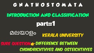 BSC ZOOLOGYMODULE2GNATHOSTOMATAPISCESINTRODUCTION AND CLASSIFICATIONPART1kerala university [upl. by Nnaeoj698]