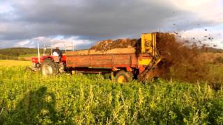 Mist streuen mit Massey Ferguson HD [upl. by Nolla]