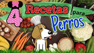 4★COMIDAS CASERAS PARA PERROS★BARATAS Y FACILES Coton de tulear I Lorentix [upl. by Qidas]