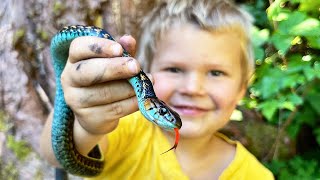 Catching and Eating Wild Snakes [upl. by Nancee812]