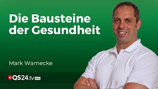 Aufbau amp Heilung Die essenzielle Bedeutung von Proteinen amp Aminosäuren für Ihre Gesundheit  QS24 [upl. by Pearson962]