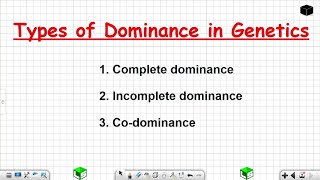 Types of Dominance in Genetics Grade 12 Life Sciences [upl. by Nylcaj820]