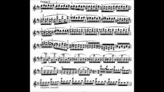 Sarasate  Peteneras [upl. by Cyrus]