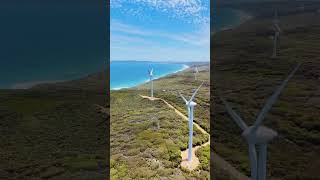 Albany wind farm [upl. by Ragse]