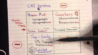 Lysosomal Storage Disease [upl. by Hakeber]