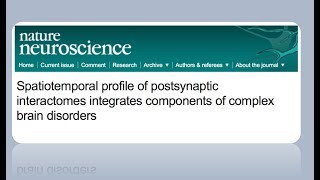 Postsynaptic interactome profiles amp Complex brain disorders [upl. by Eitsirk]