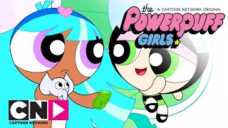 Fetițele Powerpuff  La pământ  Cartoon Network [upl. by Snoddy]