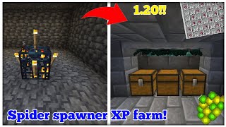 Spider spawner XP farm for minecraft 120 pocket edition [upl. by Bopp197]