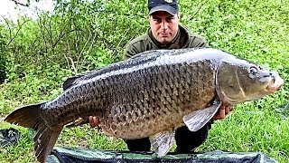 Carpfishing sul lago di Varese [upl. by Blanchard413]