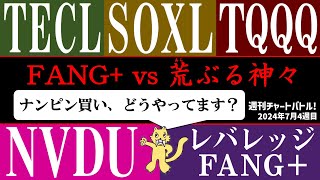 【重力の神々】FANG vs レバレッジFANG NVDU SOXL TECL TQQQ！授かるのは恵みか神罰か！？【2024年7月4週目】 [upl. by Callahan]