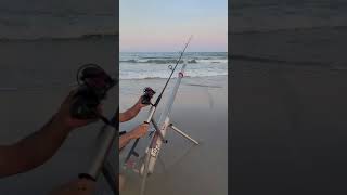 fishing brigantine beach nj [upl. by Elleinnad]