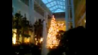 Multiple Ghosts Captured at Opryland Hotel Country Christmas [upl. by Odie]