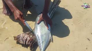 Madagascar 2024 la vie sur les plages malgaches avec les pêcheurs Le marché de HellVille [upl. by Lal284]