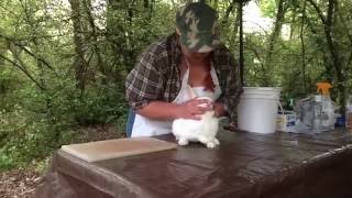 How to butcher a rabbit 1of 3 [upl. by Leary407]