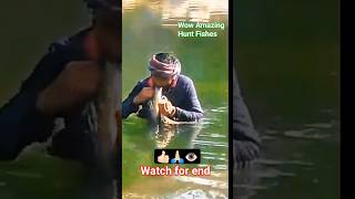 fishing hunting Tremendous hunt for Himalayan trout fish shorts ytshorts fish trout fishing [upl. by Erlond231]