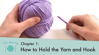 How to Hold the Yarn and Hook  Crocheting 101 Chapter 1 [upl. by Thaddeus966]