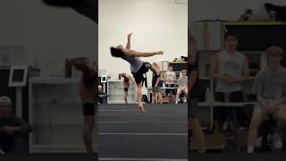 SLOW MOTION BACKFLIPS OFF 1 LEG Martial Arts Tricking Gainers Gymnast Training Circus Fit Xtreme [upl. by Cheyney]