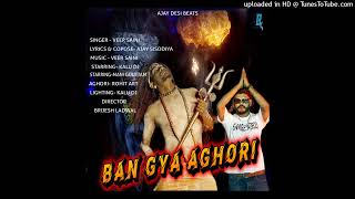 Ban gya Aghori DJ Remix Song 2024 [upl. by Mosa]