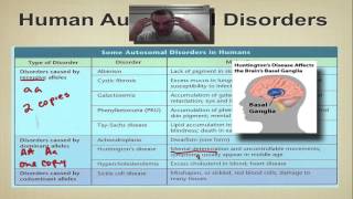 Chapter 14 Part 5  Human Autosomal Disorders [upl. by Neumark]