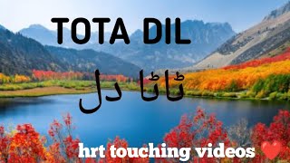 TOTA DIL silentgirlmissnargis Tota hua Dil  tuda Dil motivationalspeechinsipirationalstories [upl. by Fishman]