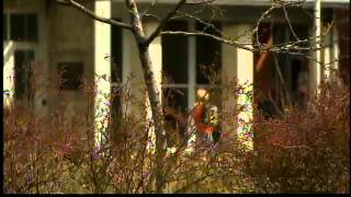 Fight video featuring 12 year old boys at Estacada school [upl. by Cofsky]