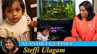 Planted Fish Tank Update Vlog in Tamil  Planted Aquarium in Tamil  Alandra Guppies [upl. by Akissej873]