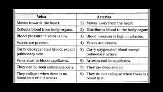 Difference Between Veins amp Arteries Veins Arteries [upl. by Algie404]