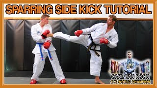 The Perfect Side Kick for Taekwondo Sparring  Van Roon Tutorial [upl. by Dabney791]