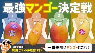 フルーツ専門家が判定！「最強マンゴー決定戦」一番美味しいマンゴーはどれだ！？超タメになる「選び方」や「食べ頃の見極め方」も詳しく解説 [upl. by Barbee]