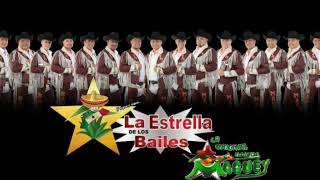 Banda Maguey Usa Inc  Mil Gracias  Audio Oficial [upl. by Eeresid]