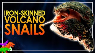 IronArmored Deepsea ScalyFoot Snails  Most Metal Mollusk  Animals EXPLAINED [upl. by Kati]