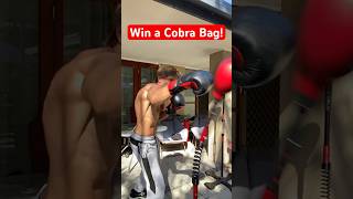 Win a Cobra Bag kewlus winacobrabag cobrabag boxingtraining fitness [upl. by Desi]