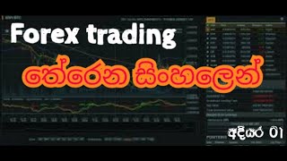 Forex trading මුලසිට සරලවම  Forex trading sinhala [upl. by Jessey473]