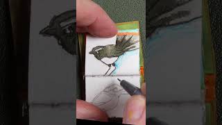 Tinytober Day 10 art sketchbookart drawing artchallenge pointybirdstudio tinysketchbook [upl. by Sitto]