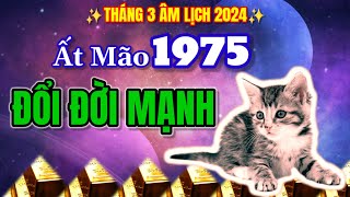 Một bước đổi đời Ất Mão 1975 tháng 3 âm lịch 2024 Nhanh chóng giàu có hơn người [upl. by Nylirehc]