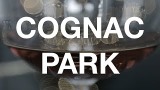 Verve Reviews Cognac Park VSOP [upl. by Becka]