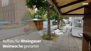 Vorbereitungen für Rheingauer Weinwoche gestartet [upl. by Flavio]