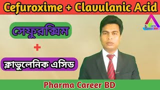 Cefuroxime  Clavulanic Acid Bangla  Cefaclav  Furoclav  Clavucef  Clavulanic Acid Bangla [upl. by Hsiri992]