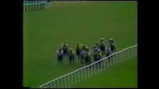 1982 Dubai Champion Stakes [upl. by Eimiaj627]